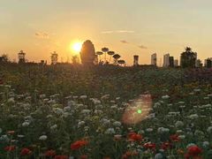 -南通鲜花小镇