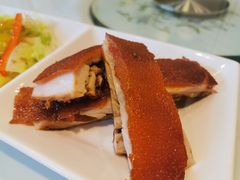 脆脆BB猪-翠园(北京王府中环店)