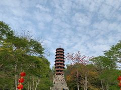 -红花山公园