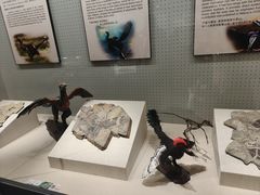 -辽宁古生物博物馆
