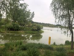 -东郊湿地公园