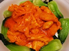 -燕春楼(海河华鼎店)