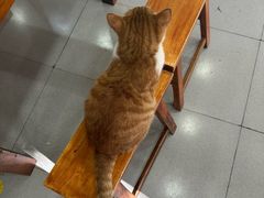 -二毛川菜馆(黄河路店)