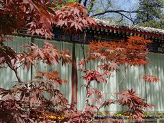 -北京友谊宾馆·俄罗斯餐厅