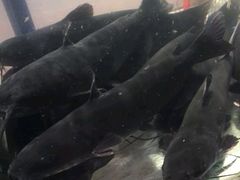 -湄公河秘制烤鱼(西双十贰城商业中心店)