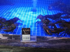 -渔民船说·北塘海鲜·天津菜·海肠捞饭(北塘古镇店)