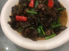 -东哥紫阳蒸盆子(旺座·现代城店)