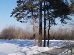 -绥化市森林植物园