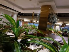 大堂-鹿客·臻鲜海鲜自助餐厅(新塘万达广场店)