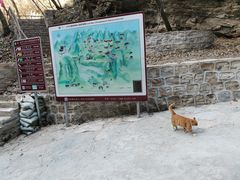 -北京上方山国家森林公园