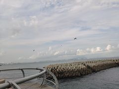 -东港音乐喷泉广场