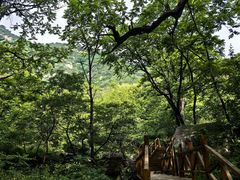 -大岭沟猕猴桃谷风景区