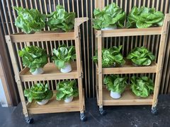 -纳地素食(石门公园店)