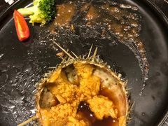 -半岛翡丽海鲜自助餐厅(观风亭店)