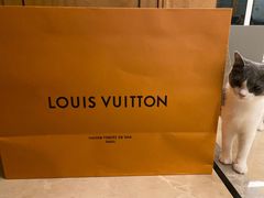 -LV路易威登(杭州万象城店)