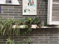-小洲村
