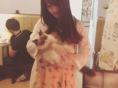 -猫色咖啡·猫咖