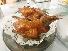 -石岐乳鸽村(南海第三分店)