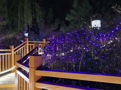 -徂徕山森林康养度假谷温泉