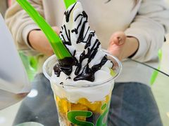 -Salud撒露欧洲冻酸奶(五道口购物中心店)