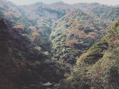 -太湖源风景区