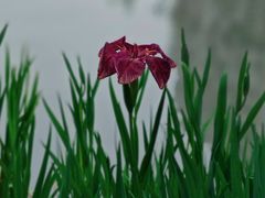 -苏州河梦清园环保主题公园