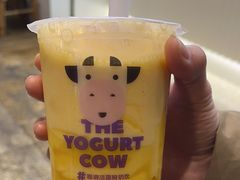 -一只酸奶牛(春熙路店)