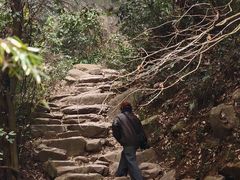 -莫干山风景区
