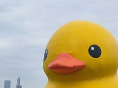 -深圳人才公园
