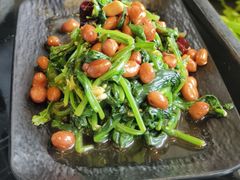-新概念东北菜(场北店)