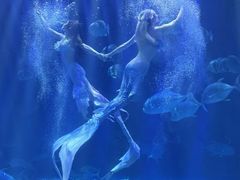 -华夏文旅西安度假区