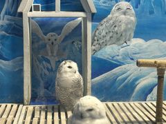 -成都浩海立方海洋公园