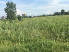 -汉长安城未央宫国家考古遗址公园