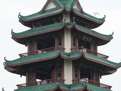 -桂湖森林公园