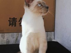 -安安宠物医院(佳林路分院)