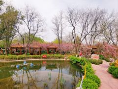 -太阳宫公园