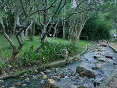 -燕晗山郊野公园