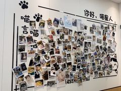 -瑞派·关忠动物医院·猫专科·犬专科(三环新城店)