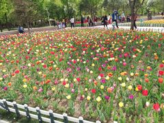 -长春公园(普阳街道)