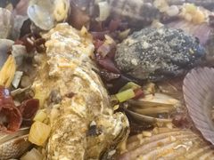 -北方饺子王·海肠捞饭·海鲜锅(山大店)