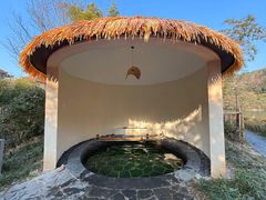 -江南天池高山汤泉城