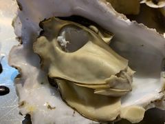 -蚝堡海鲜·威海菜·海肠捞饭·烧烤·亚洲吃蚝公司(幸福门店)