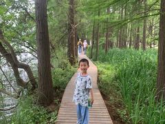 -东湖落雁景区