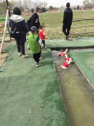 -上美四季动物农场