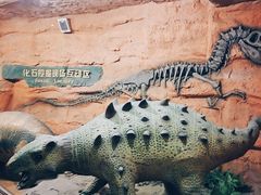 -河南自然博物馆