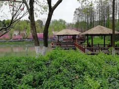 -圩墩遗址公园