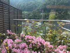 -重庆南山海昌汤都