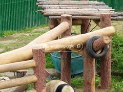 -沈阳森林动物园