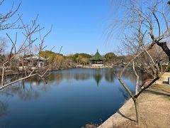 -无锡蠡湖国家湿地公园-蠡园