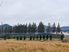 -莫干山风景区